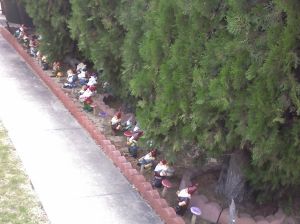 Lawn Gnomes